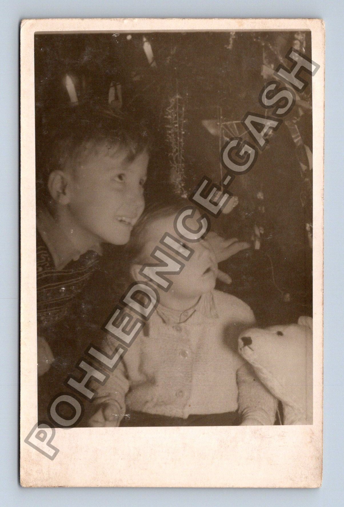 Stará fotografie Děti s medvídkem (M38529)