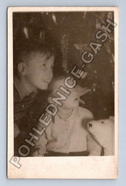 Stará fotografie Děti s medvídkem (M38529)