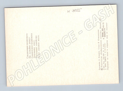 Pohlednice medvědi – ilustrace A. Komarov (M3855)