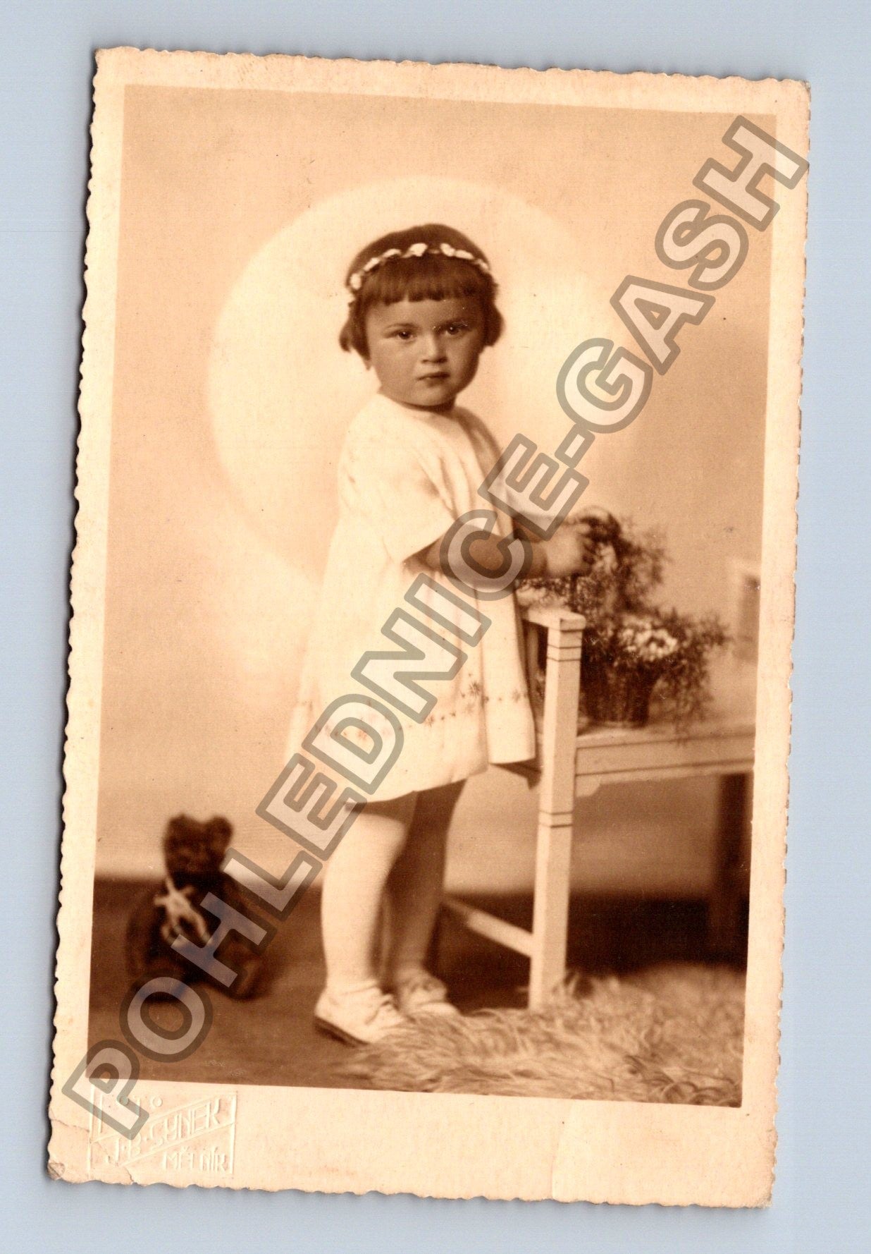 Stará fotografie Dítě s medvídkem a květinami ateliér Synek (M38568)