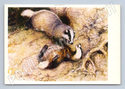 Pohlednice jezevci – ilustrace A. Komarov (M3857)