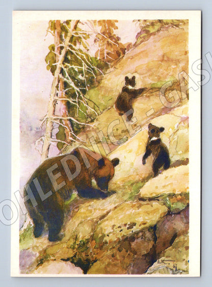 Pohlednice medvědi na skále – A. Komarov (M3858)