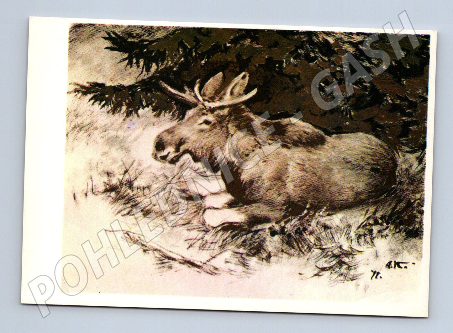 Pohlednice los – umělecký motiv (M3859)