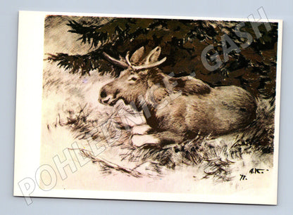 Pohlednice los – umělecký motiv (M3859)