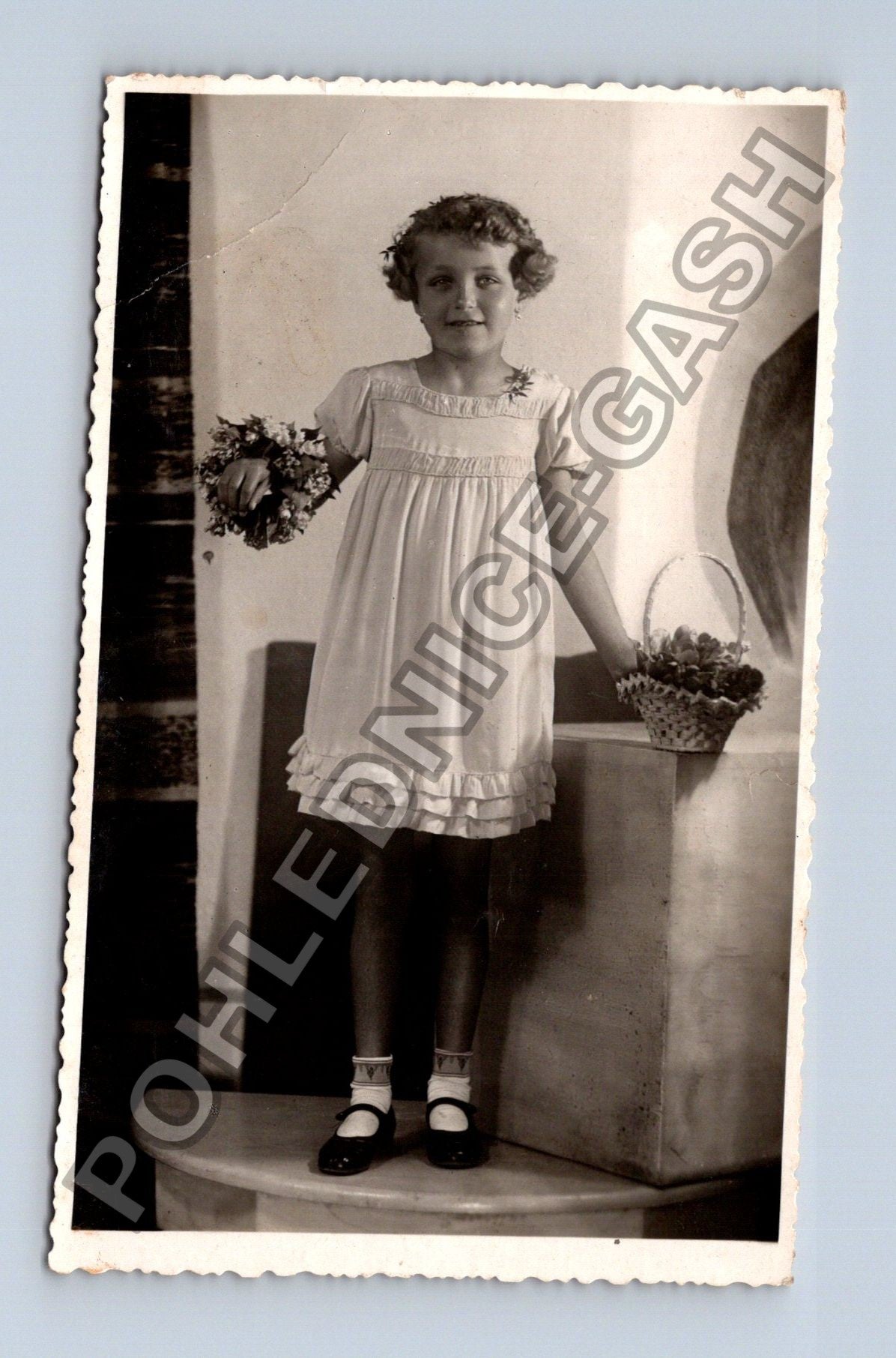Stará fotografie Dívka s květinami ateliér Foto Moderna (M38605)