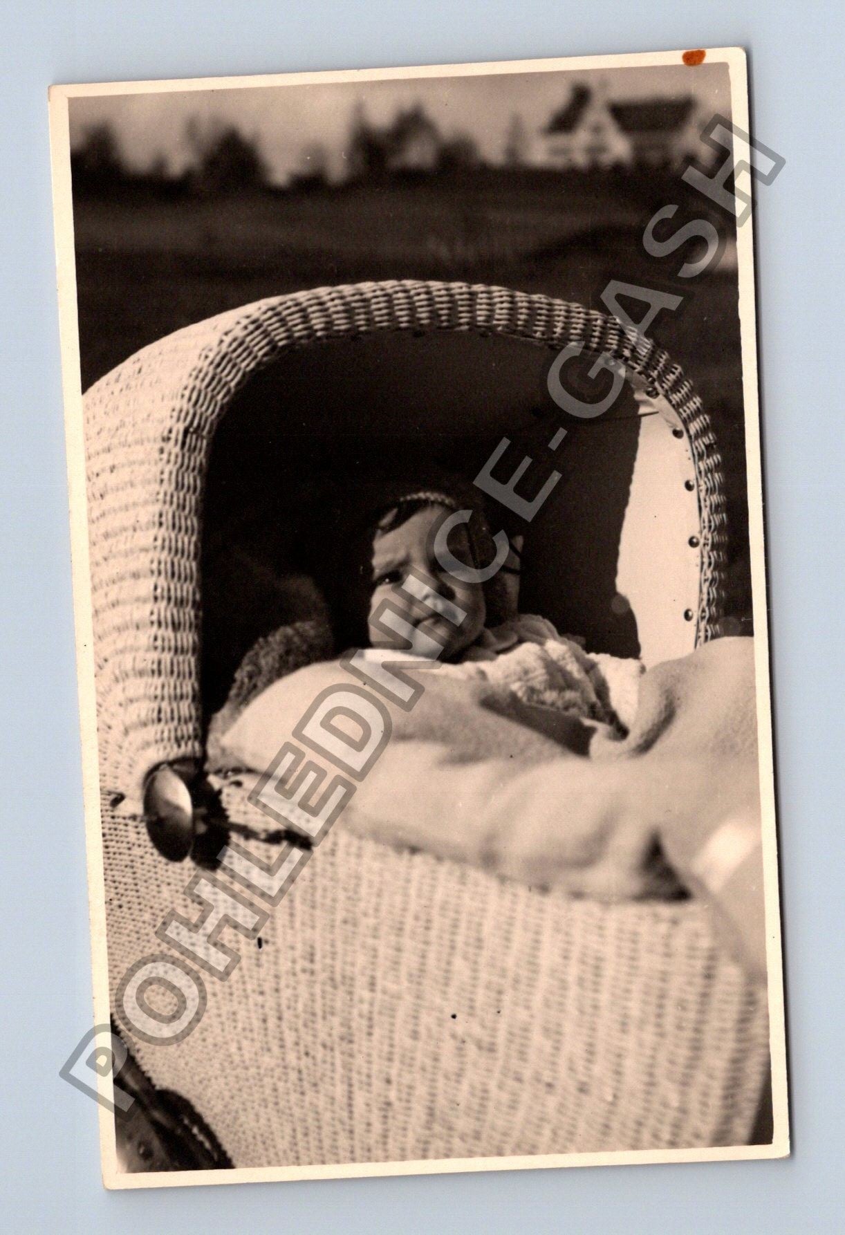 Stará fotografie Vivaterbanice dítě v kočárku 1947 (M38609)