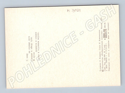 Pohlednice husy – ilustrace Komarov (M3861)