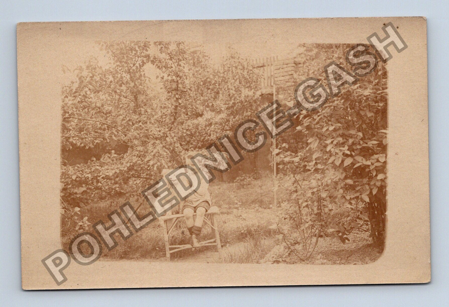 Pohlednice chlapec pes v zahradě (M38614)