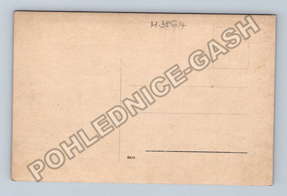 Pohlednice chlapec pes v zahradě (M38614)