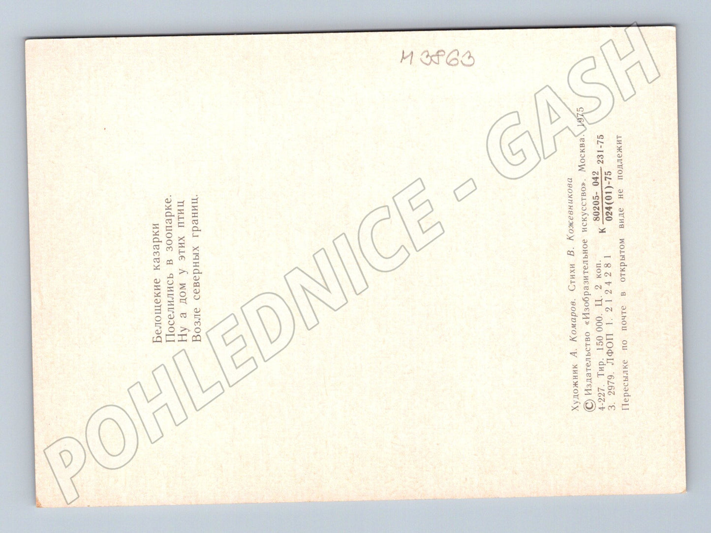 Pohlednice bělolící husy – ilustrace Komarov (M3863)