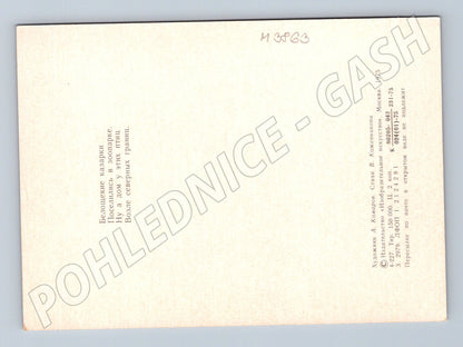 Pohlednice bělolící husy – ilustrace Komarov (M3863)