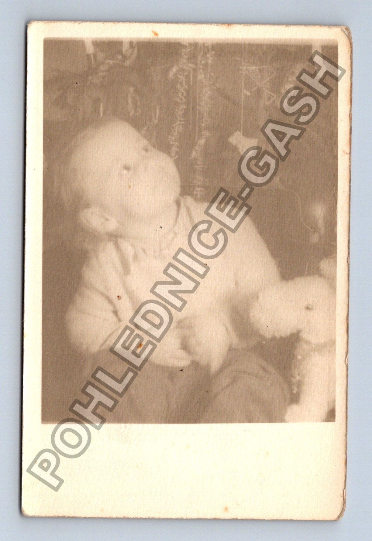 Stará fotografie Dítě s plyšovým psem (M38642)