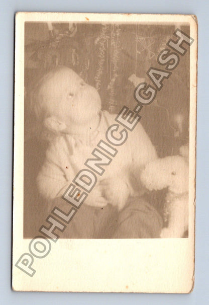 Stará fotografie Dítě s plyšovým psem (M38642)