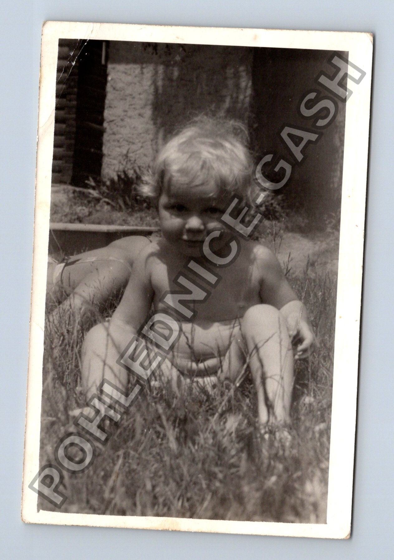 Stará fotografie Dítě v trávě (M38648)