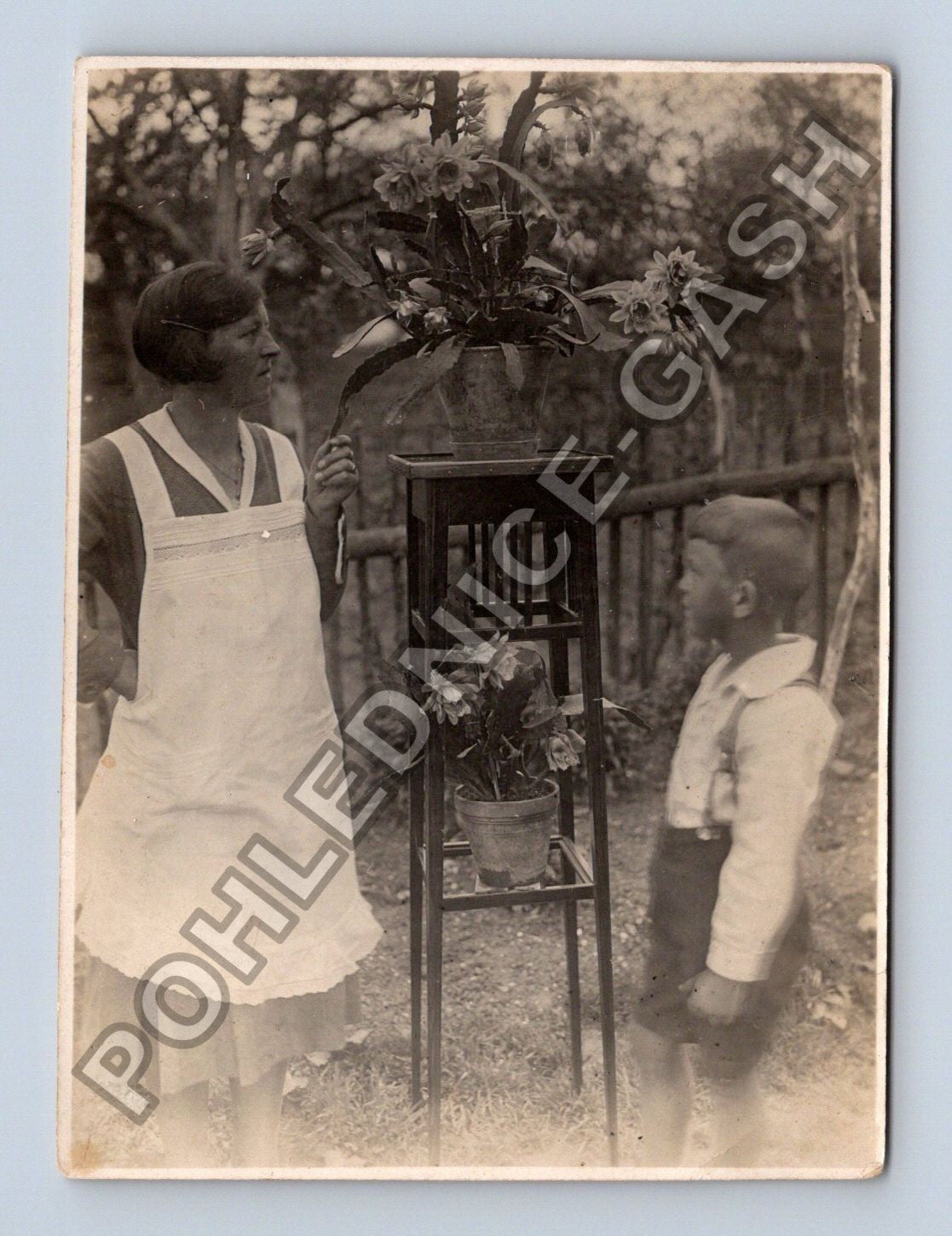 Stará fotografie Hvozdnice 1932 žena s chlapcem v zahradě (M38649)
