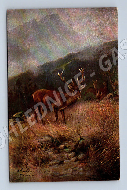 Pohlednice jelen u lesa – malířský motiv (M3866)