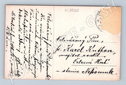 Pohlednice jelen u lesa – malířský motiv (M3866)