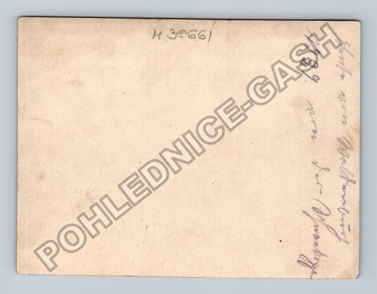 rodinná fotografie v krajině 1929 (M38661)