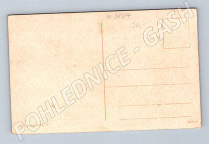 Pohlednice krávy na pastvě – venkovská krajina (M3867)