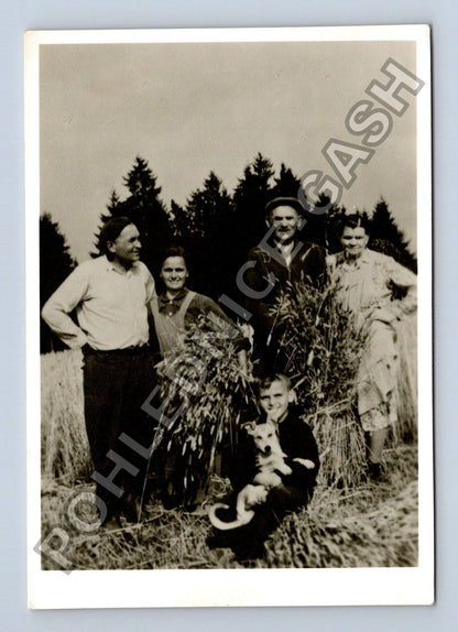 Stará fotografie Rodina s psem při sklizni obilí (M38674)