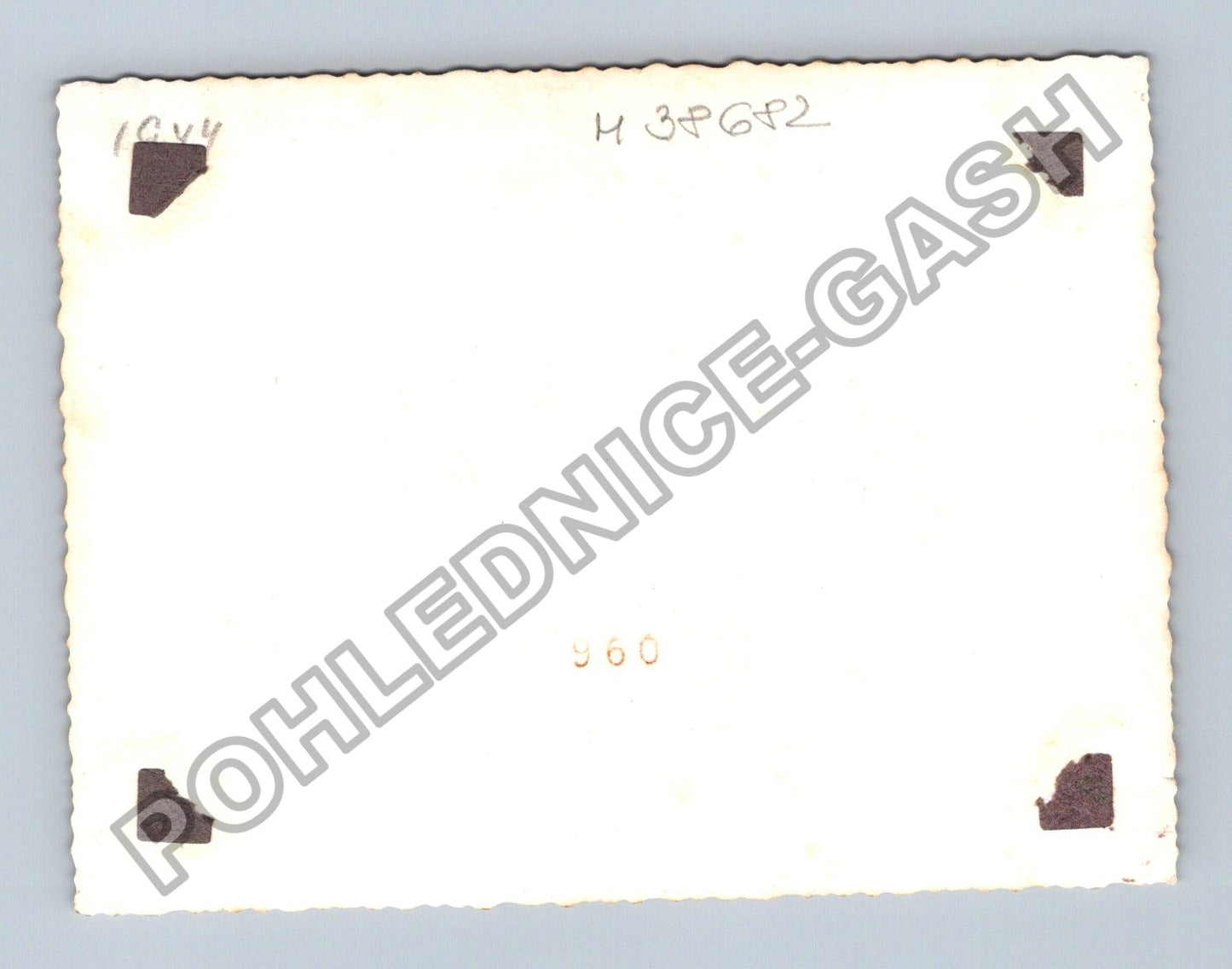 Rodinná fotografie s dětmi (M38682)