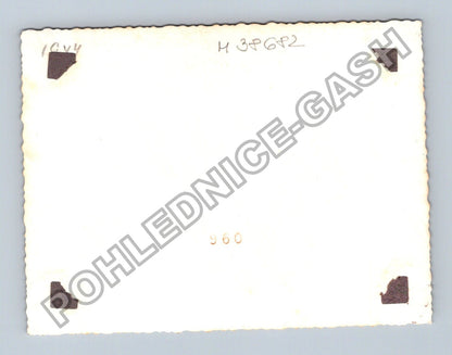 Rodinná fotografie s dětmi (M38682)