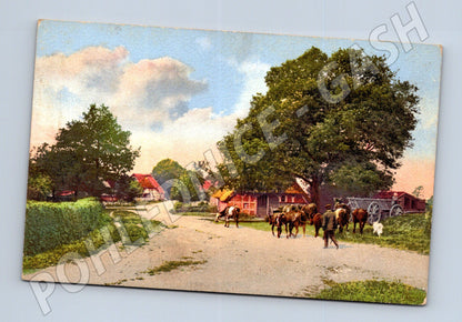 Pohlednice venkov – stavení, krávy a koně (M3869)