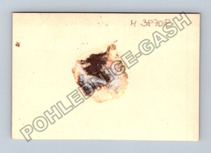 Stará fotografie portrét muže v sokolské uniformě 1930 (M38708)
