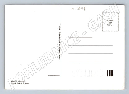 Pohlednice páv – barevný motiv (M3871)