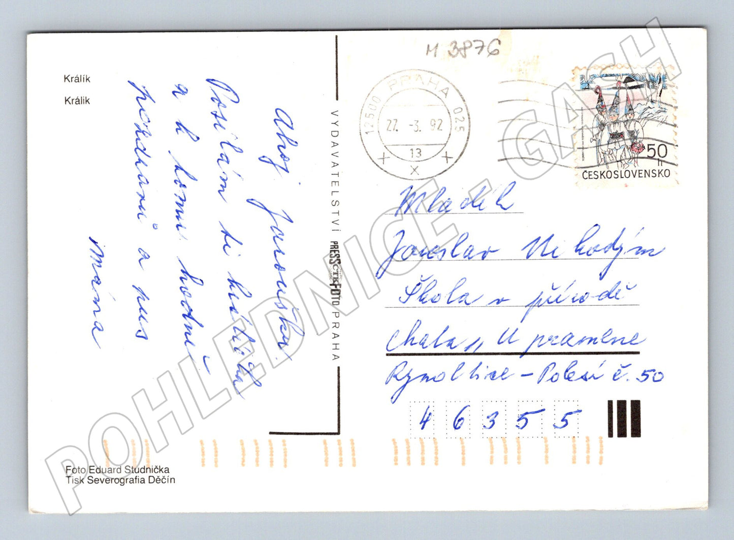 Pohlednice králík – barevný motiv (M3876)