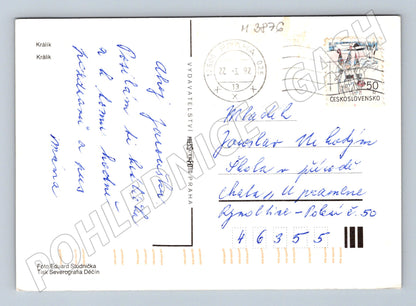 Pohlednice králík – barevný motiv (M3876)