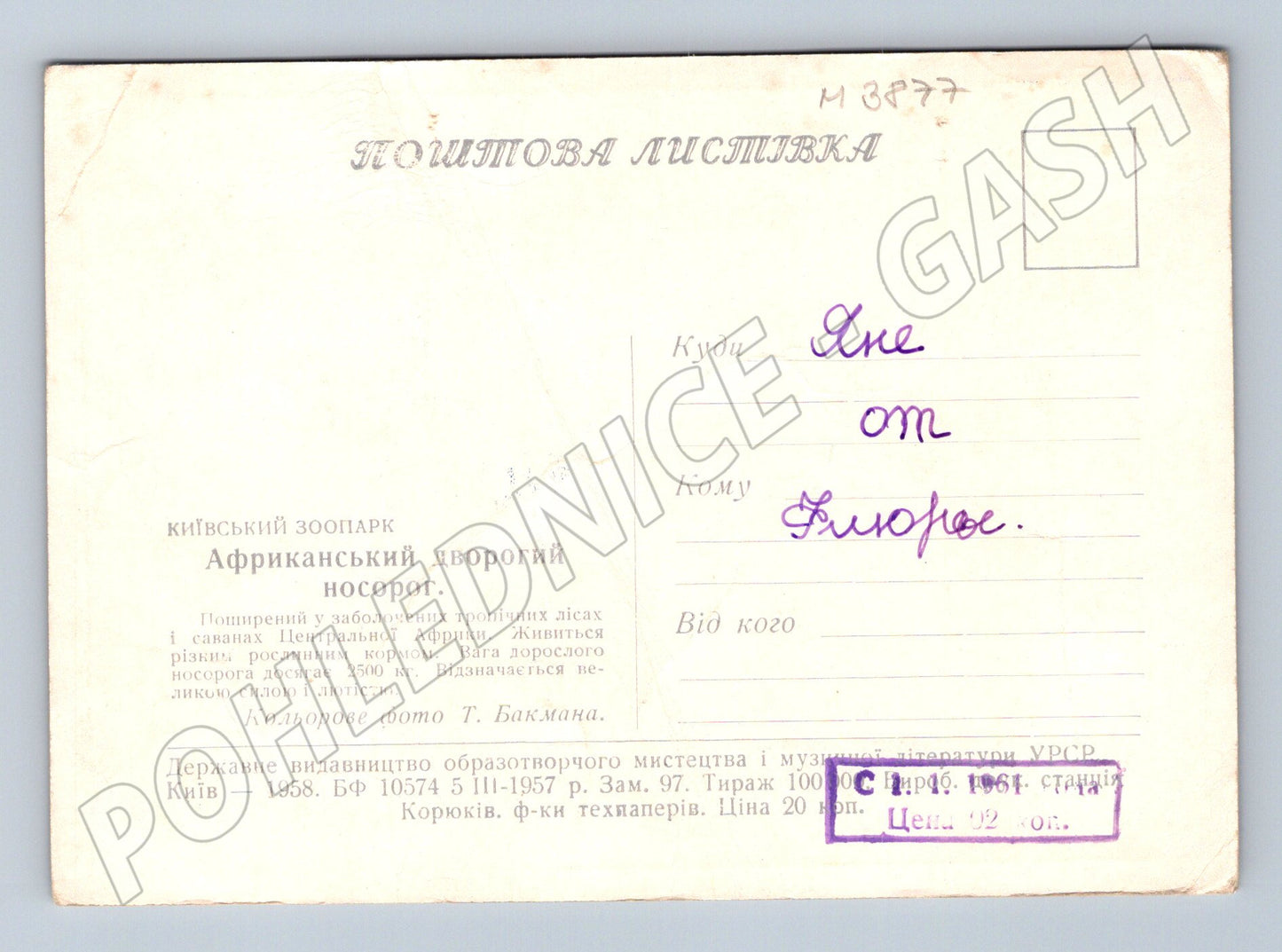 Pohlednice nosorožec dvourohý – Kyjevská zoo (M3877)