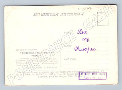 Pohlednice nosorožec dvourohý – Kyjevská zoo (M3877)