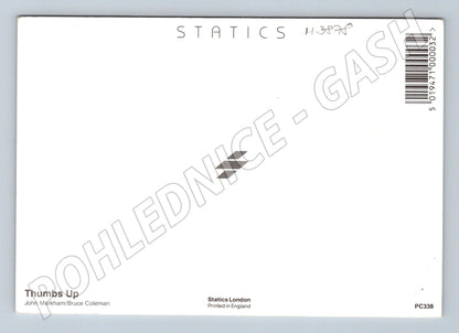 Pohlednice orangutan Thumbs Up – zvířecí motiv (M3878)