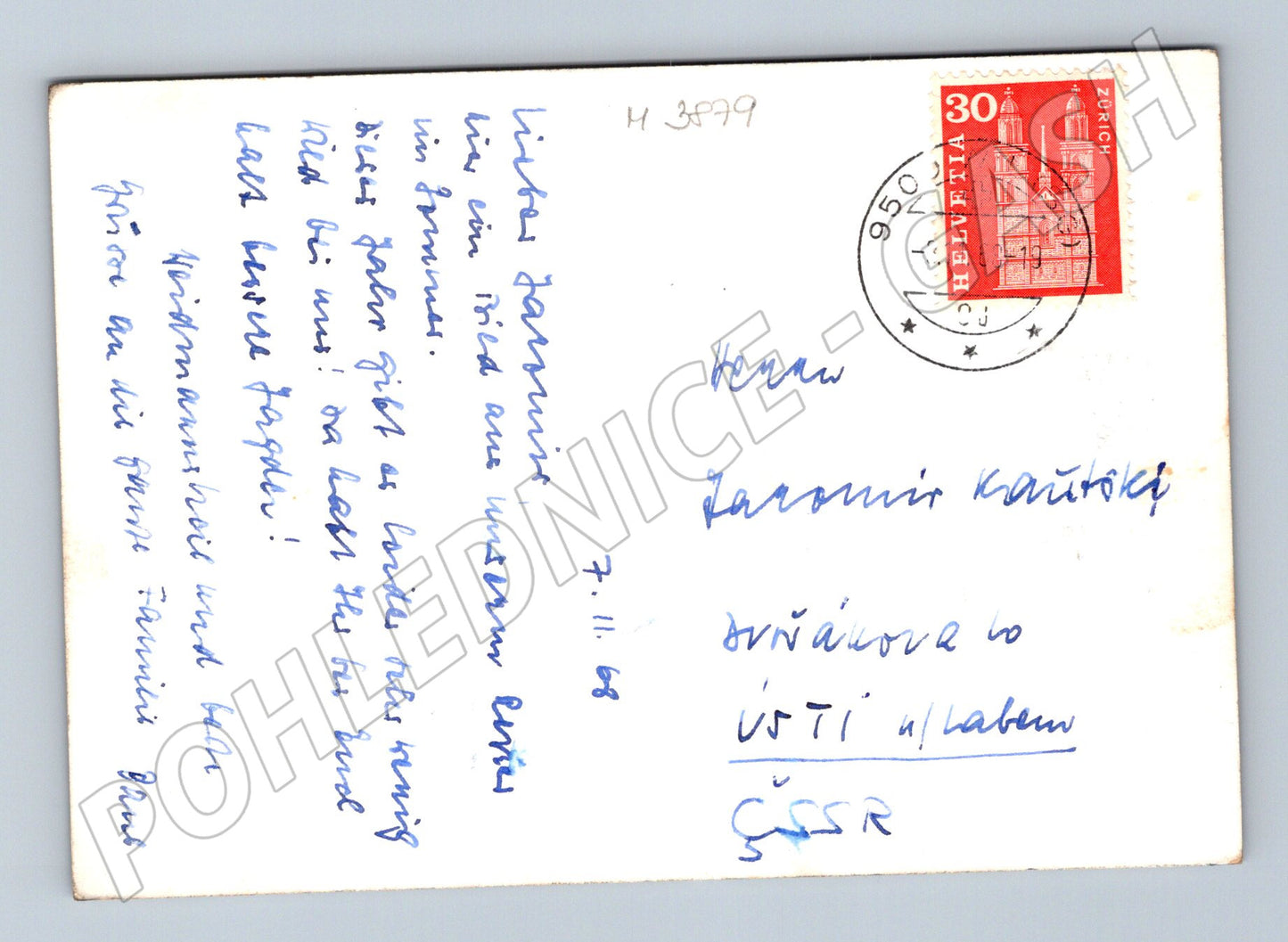 Pohlednice koně na louce – Švýcarsko (M3879)