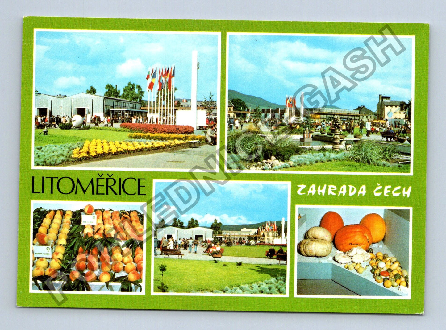 Pohlednice Litoměřice Zahrada Čech výstaviště ovoce (M38801)