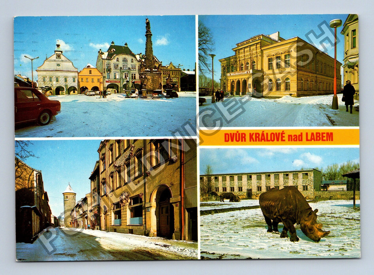 Pohlednice Dvůr Králové nad Labem náměstí zoo ulice (M38818)