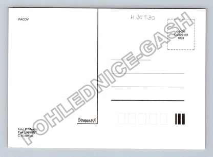 Pohlednice Pacov koláž náměstí socha ulice (M38830)