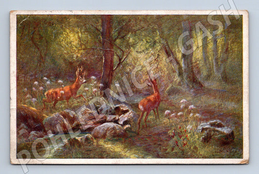 Pohlednice srnci v lese – malovaný motiv (M3885)