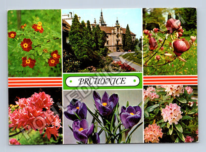 Pohlednice Průhonice zámek park květiny 1981 (M38865)
