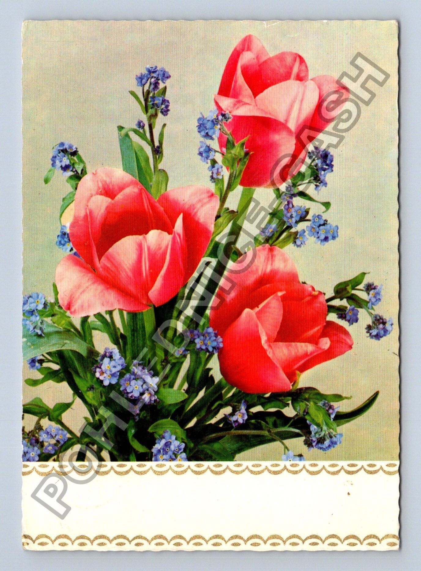 Pohlednice Švýcarsko kytice tulipány pomněnky 1975 (M38875)
