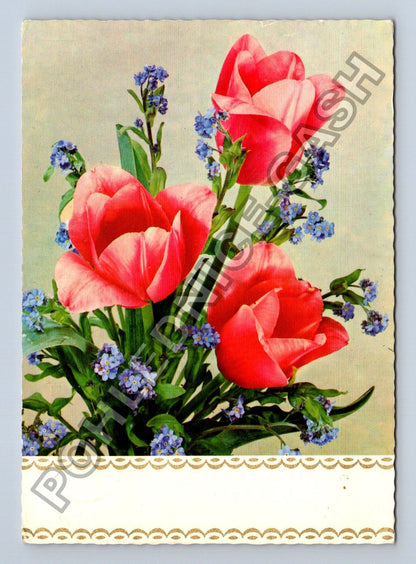 Pohlednice Švýcarsko kytice tulipány pomněnky 1975 (M38875)