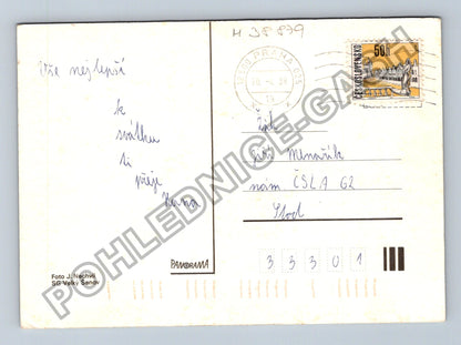 Pohlednice Žluté kosatce ve váze (M38879)