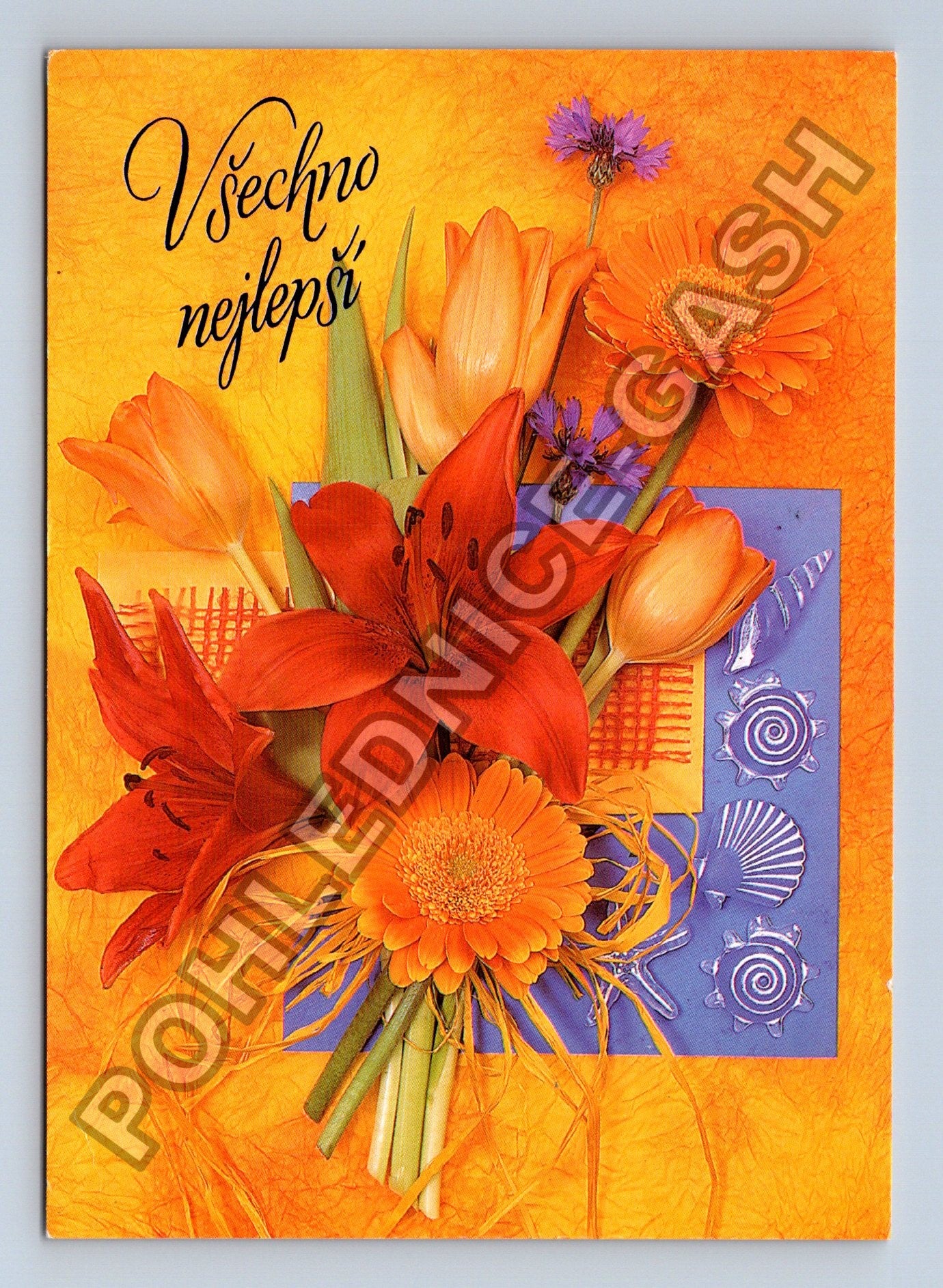 Pohlednice Všechno nejlepší kytice květin 2005 (M38882)