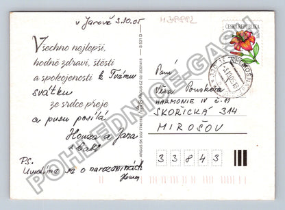 Pohlednice Všechno nejlepší kytice květin 2005 (M38882)