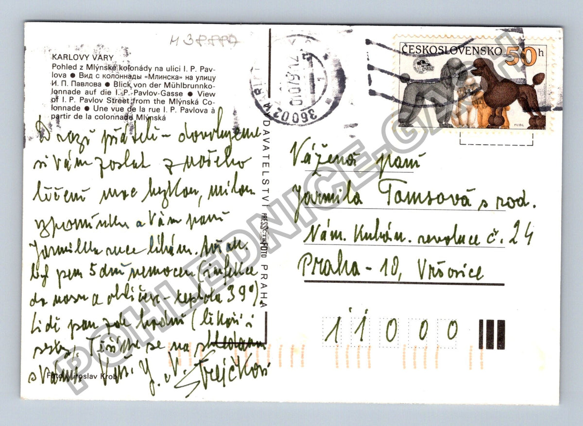 Pohlednice Karlovy Vary Mlýnská kolonáda sochy (M38887)