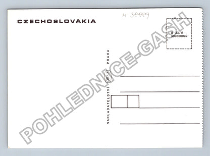Pohlednice Hrad Vranov nad Dyjí (M38889)