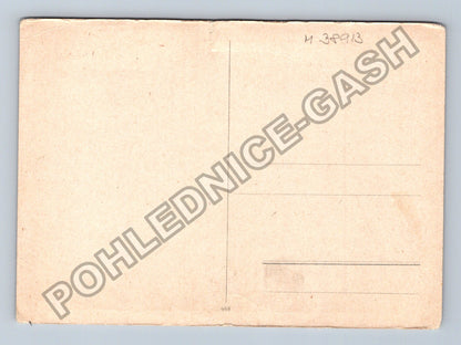 Pohlednice vodní plocha stromy kachny (M38913)