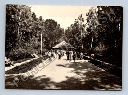 Pohlednice Konstantinovy Lázně prameny 1959 (M38919)