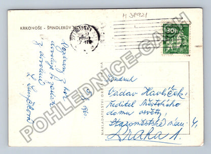 Pohlednice Krkonoše Špindlerův Mlýn 1960 (M38921)